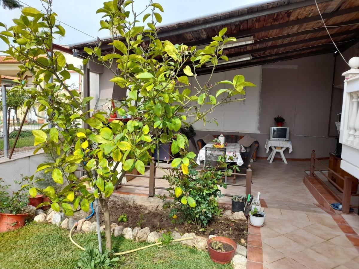 Villa Vangelis Nea Plagia Exterior photo